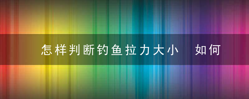 怎样判断钓鱼拉力大小 如何判断钓鱼拉力大小